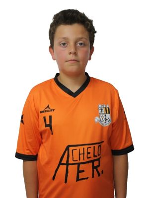 Vicente Rodrigues Vilas
