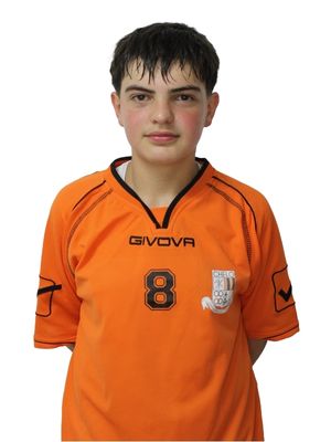 Pedro Afonso Ferreira Rodrigues