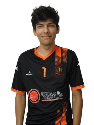 Luis Filipe Zeferino Ferreira